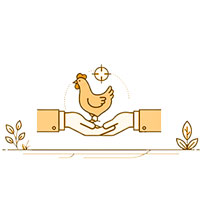 sur-mesure-gold
